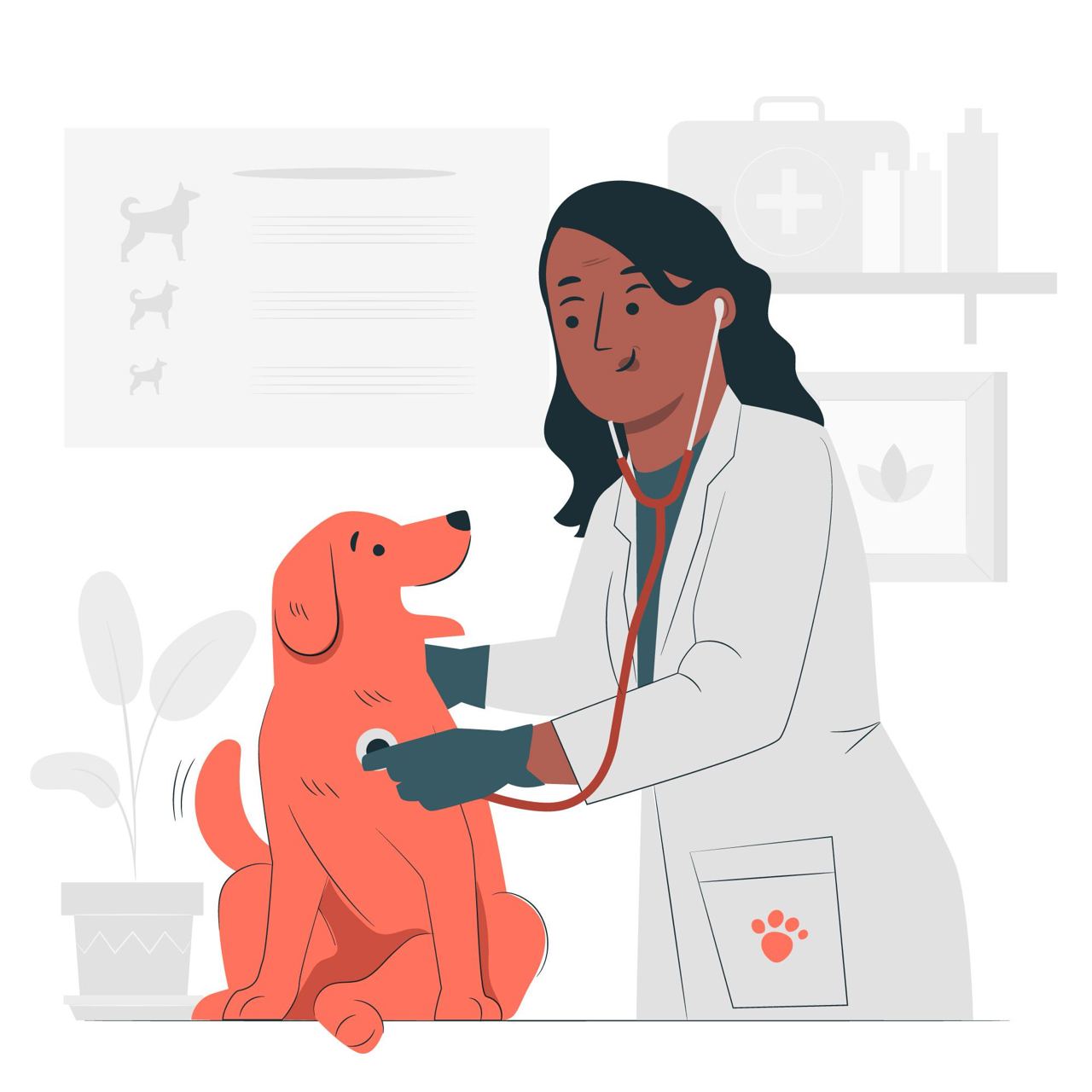 Veterinary Career Guide