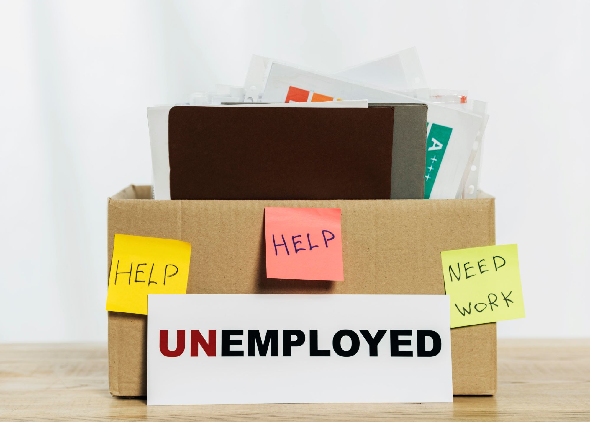 Government Help for the Long-Term Unemployed in the UK