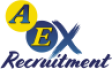 AEX Recruitment Ltd logo