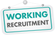 Working Recruitment LTD